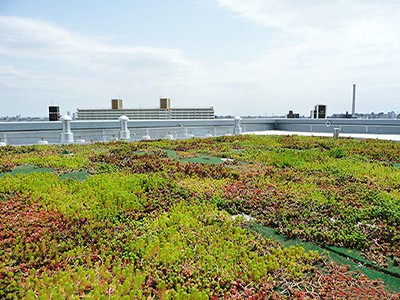 屋上緑化イメージ｜ザ・パークハウス千歳烏山グローリオ