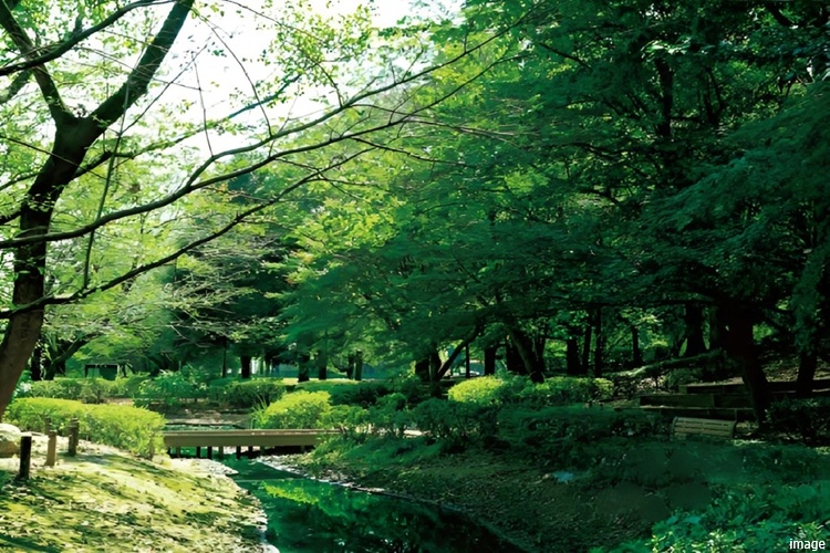 世田谷公園｜ザ・パークハウス千歳烏山グローリオ