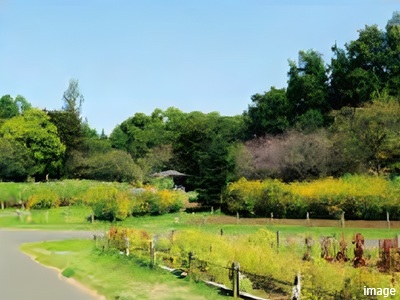 盧花恒春園｜ザ・パークハウス千歳烏山グローリオ