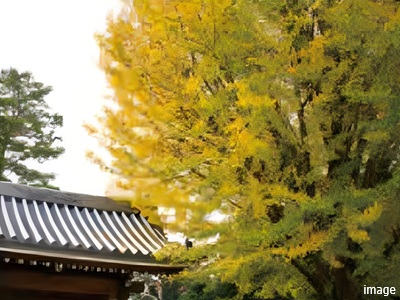 烏山寺町｜ザ・パークハウス千歳烏山グローリオ