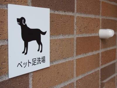 ペット足洗い場イメージ｜ザ・パークハウス千歳烏山グローリオ